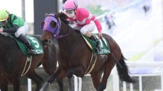 【笠松・マーチC結果】愛知のナムラマホーホが競り合いを制して重賞5勝目