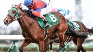 【次走】ライラックは福永祐一騎手との新コンビで桜花賞へ