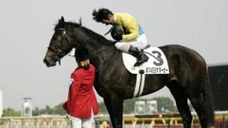 【海外競馬】名牝ウオッカの仔セブンポケッツがイギリスで連勝！