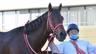 広尾TCが初の海外挑戦　先行有利のドバイにパンサラッサ＆バスラットレオンを送り出す