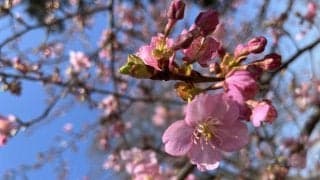 第769回　新入部員求ム！　執筆者・松本考史