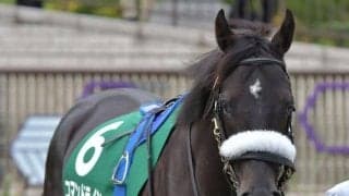 【次走】コマンドラインは岩田望来騎手との新コンビで毎日杯へ「この馬に乗るのを楽しみに」