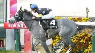 阪神大賞典で狙うべき血統は一択。牝系も抜群なオールラウンダーと、兄弟も優秀な２頭が推し