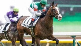 【スプリングS枠順確定】アサヒは6枠8番、アライバルは8枠12番