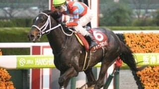 【阪神大賞典枠順確定】ディープボンドは7枠11番、マカオンドールは6枠9番