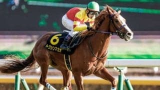 【ファルコンS枠順確定】トウシンマカオは4枠8番、デュガは8枠17番