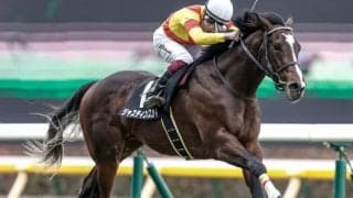【次走】2連勝中のジャスティンスカイは青葉賞へ 鞍上は引き続き横山武史騎手