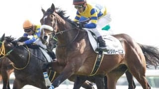 京成杯2着馬ロジハービンが骨折 国枝師「春は休みになる可能性が高い」