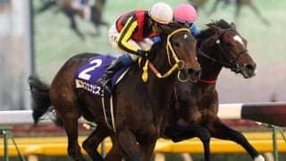 名牝ブエナビスタの6番仔が4月の未勝利戦でデビュー予定