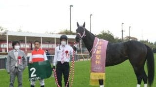 【次走】金鯱賞6着のショウナンバルディは大阪杯へ 昨年暮れの中日新聞杯で重賞初制覇
