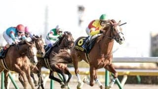 【今日の注目ポイント】中京でGIII・ファルコンS、阪神では皐月賞トライアル・若葉S