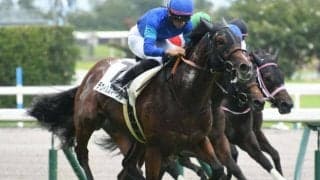 【ファルコンS予想】混戦模様の3歳短距離重賞…可能性光る1頭は？