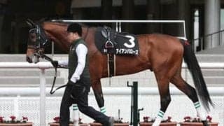 阪神大賞典は大本命に不安あり。馬場を味方にできる２頭が再び好配当を生み出すか