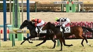 スプリングＳで馬券に絡む馬には必須条件がひとつある。それをクリアした５頭が狙い目