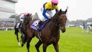 【阪神大賞典予想】キーワードは「寒の戻り」!? 再び見たい「3度目」の激走