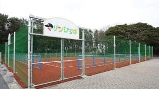 ロッテが「マリーンズ・キッズボールパーク」開催　全8日程、未就学児から小6まで対象