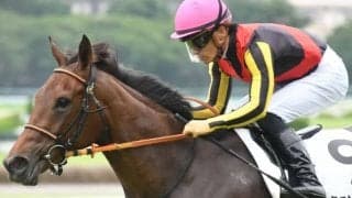 【フラワーC枠順確定】スタニングローズは1枠1番、シンティレーションは3枠3番