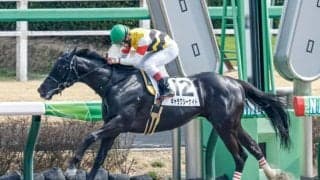 【次走】2連勝中のギャラクシーナイトは兵庫CSへ