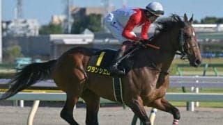 【次走】ハーツクライ産駒グランシエロは青葉賞へ