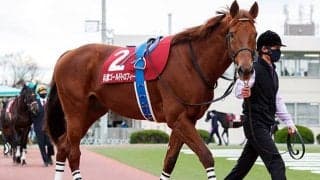 【マーチS想定】かしわ記念覇者ワイドファラオ、堅実さ光るブルベアイリーデ・オメガレインボーなど24頭