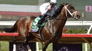 【ドバイWC 出走見込馬】米国ダート王者ライフイズグッド、日本馬チュウワウィザードなど