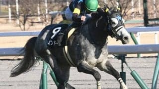 【阪神大賞典予想】長丁場で堪える!? 巧者でも超えられない「○○」の壁