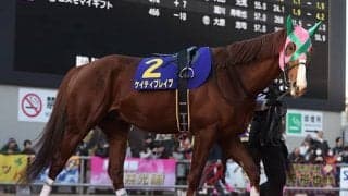 【JRA】9歳馬ケイティブレイブが左前浅屈腱炎、2018年JBCクラシックなどJpnI・3勝