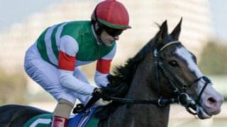 【スプリングS前日オッズ】アライバルが3.7倍で1番人気