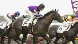 【WIN5予想】スプリングSは大敗直後の馬が信頼できない