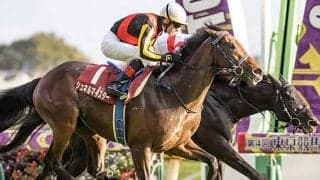 【ドバイターフ 出走見込馬】日本馬シュネルマイスターが人気の中心