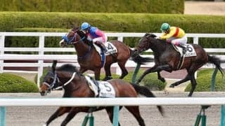 【JRA】落馬の団野大成騎手は全身打撲、騎乗馬サンライズゴラッソは異状なし