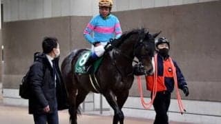 スプリングＳを穴党記者が徹底検証。タフな条件で強さを発揮しそうな伏兵２頭に大駆けの予感