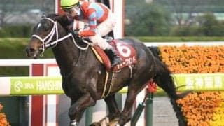 【阪神大賞典予想】やっぱり1番人気が強い重賞？ キーワードに当てはまる最適の軸候補は？