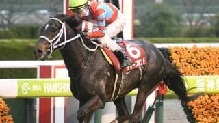 【AI予想・阪神大賞典】逆にまさかの「◎」!? 人工知能が導き出した「期待を裏切る」本命馬とは