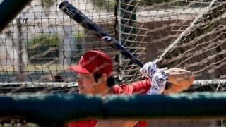 大谷翔平、1番起用を監督示唆　トラウトは大谷の後を打つことを歓迎「俺は好きだよ」
