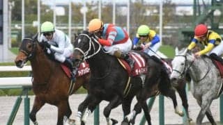 【阪神大賞典結果】ディープボンドが断然人気に応えて連覇達成