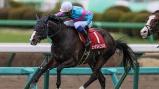 【スプリングS】ビーアスドニッシドが逃げ切り！クラシック戦線へ名乗り