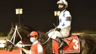 2022ドバイワールドカップデーのテレビ・ラジオ中継