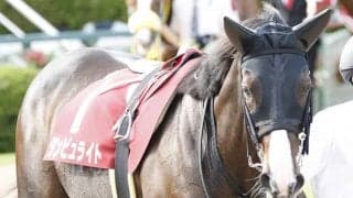 【阪神大賞典】13着ダンビュライトは心房細動を発症