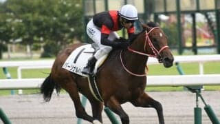 【フラワーC】パーソナルハイ陣営「ディープらしいバネ。成長を感じる」/ねぇさんのトレセン密着