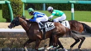 【中山6R】ビーオンザマーチが初ダートで快勝