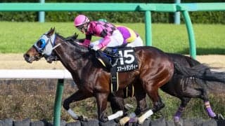 【千葉S】スマートダンディーがオープン4勝目