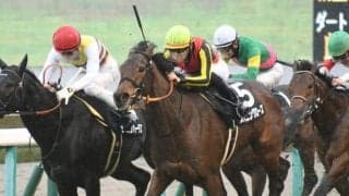 【フラワーC予想】秋以降に向けての力試し的一戦 器用さを持つ馬が好走しやすい