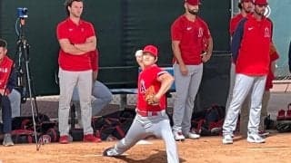 【MLB】大谷翔平は「昨年よりいい投球をする」　OP戦初登板前なのに…ベテラン捕手が太鼓判