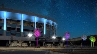 ロッテ本拠地「やしのきエリア」ライトアップ　3・29から「マリンひろば」通年開放も