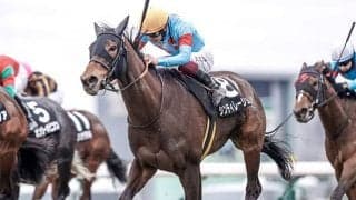 【フラワーC・馬体重】シンティレーションは458kg(-4)、スタニングローズは474kg(-2)