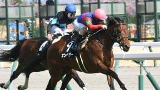 【フローラルウォーク賞結果】エンペザーが2番手から押し切り連勝