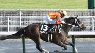 【名古屋城S結果】グロリアムンディが2馬身差完勝でダートでは無傷4連勝