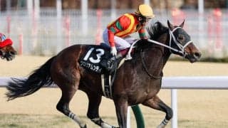 【名古屋城S】グロリアムンディがダートで4連勝