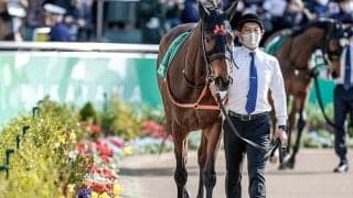 【フラワーC】スタニングローズがV、“薔薇一族”ローザネイ牝系10年ぶり重賞制覇